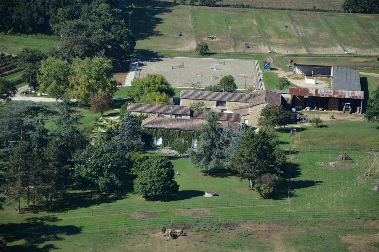 Le Chateau De Roquebere Condom Exterior foto